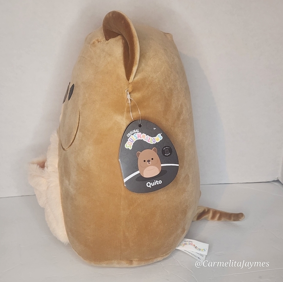 🖤 QUITO 🐻 Select Series Black Tag Quito Original Squishmallow ☆》NWT《☆ - Picture 5 of 10